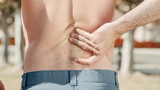 The Link Between Obesity and Low Back Pain