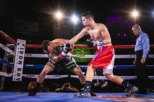 When You Train Matters: How Time of Day Affects Boxer Reaction Times