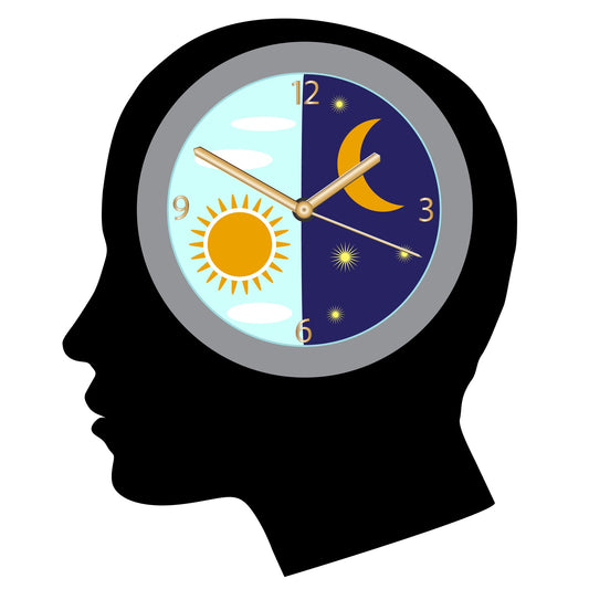 How Modern Lifestyles Affect Our Body Clock