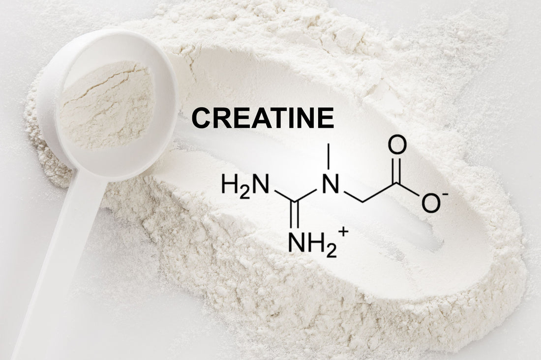 Can Creatine Cause Hair Loss? What a New Study Found