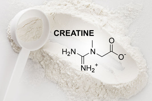 Do You Really Need a Loading Phase with Creatine?
