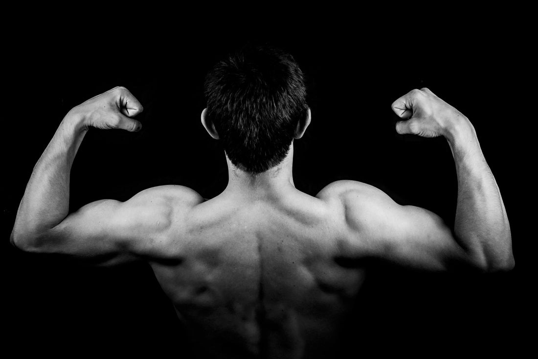 How Genetics Influence Muscle Growth
