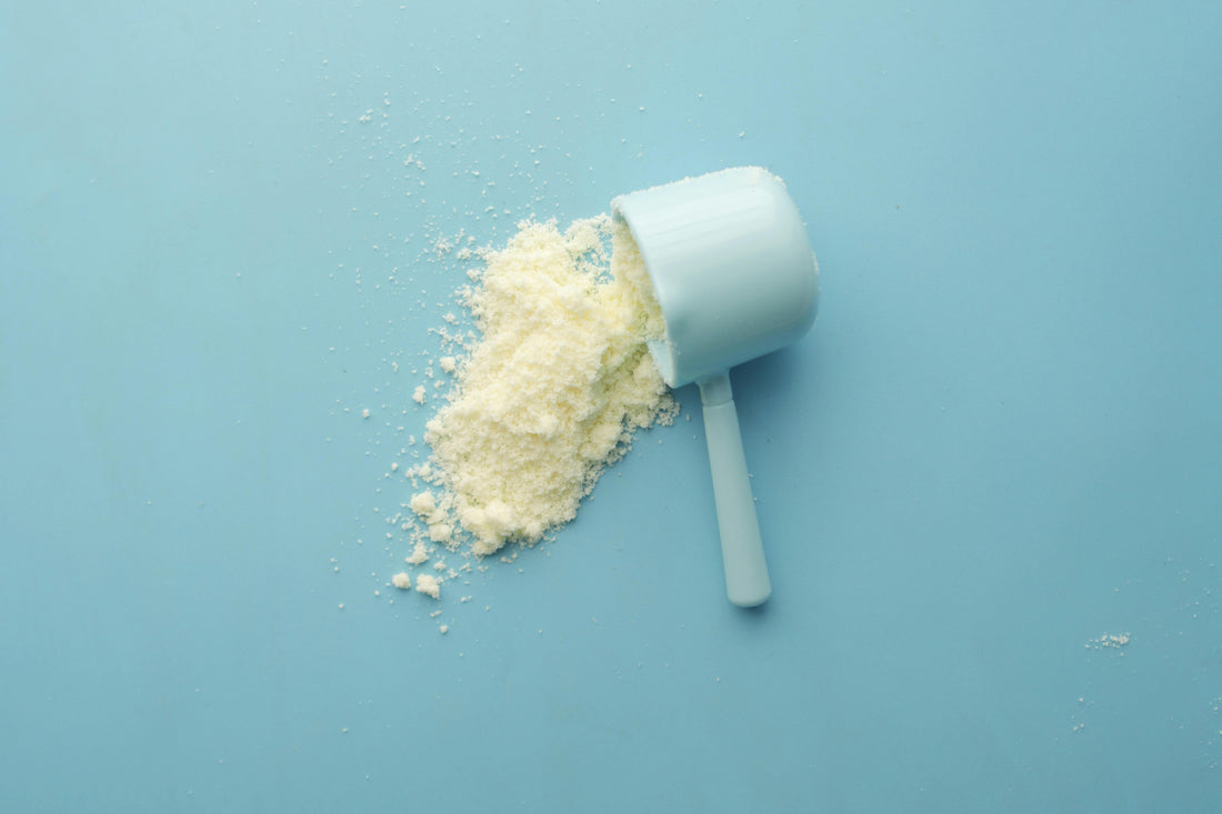 Boosting Strength and Endurance with Vicia faba Protein Hydrolysate