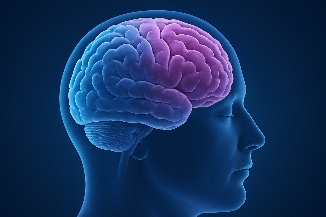 Can Lowering Cholesterol Help Protect Your Brain?
