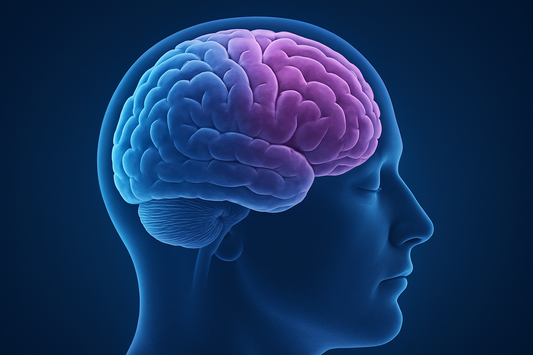Can Lowering Cholesterol Help Protect Your Brain?