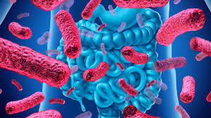How Gut Bacteria Can Affect Your Bowel Movements
